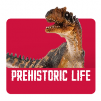 Prehistoric Life